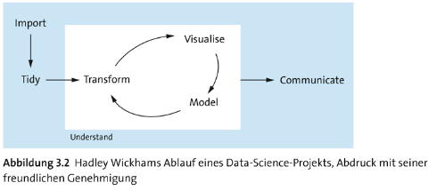 Hadley Wickham Modell.